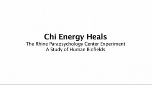 The Rhine Bioenergy Experiment